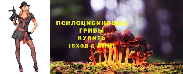 spice Абаза