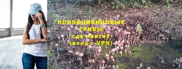 молекула духа Алексеевка