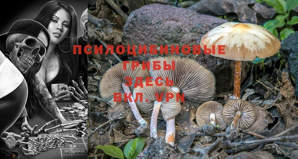 дмт Абдулино