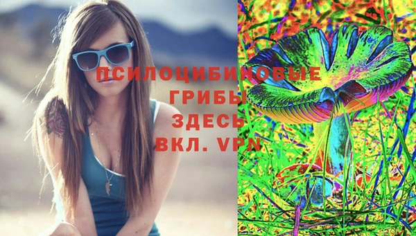 spice Абаза