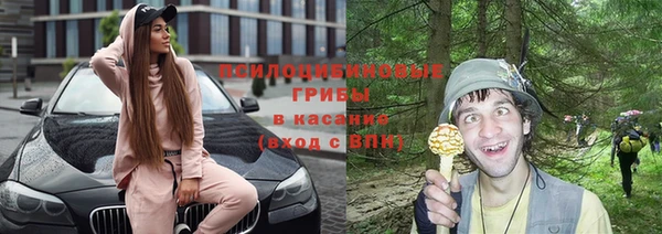 таблы Алзамай